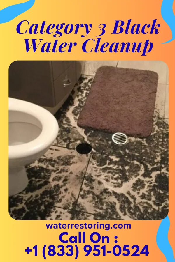 Category 3 Black Water Cleanup in Pine Canyon, CA