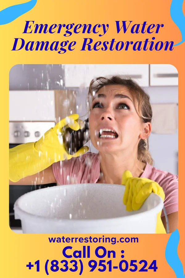 Emergency Water Damage Restoration in Pine Canyon, CA